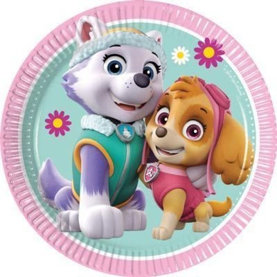 Paw Patrol Skye & Everest