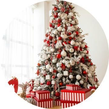 Traditional Christmas tema