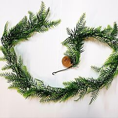 Vihreä Lehtiköynnös, Saniainen, 1.8 M