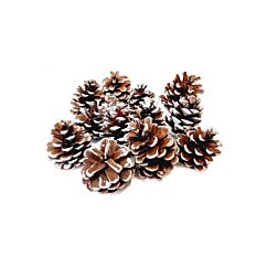 Kottar med stålråd, 3cm, 12-pack