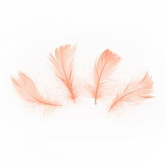 Fjädrar, Aprikos, 5-8cm, 50-pack