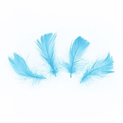 Fjädrar, Ljusblå, 5-8cm, 50-pack