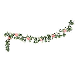 Ruusuköynnös, valkoiset ruusut, 2m