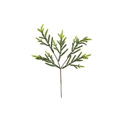 Tekokasvi - Pajunoksat, 35cm Koristekimppu