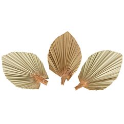 Torkade palmblad 15x10cm - Naturfärgade, 3-pack