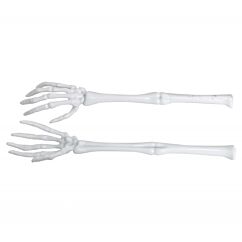 Luuranko Käsivarsi, Valkoinen, 2 kpl