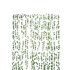 Muratti-lehtiköynnöksiä, joista voi tehdä viherseinän. 10 kpl á 2,1 m.