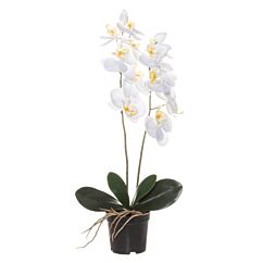 Vit orkidé i kruka - Konstgjord växt, 59 cm