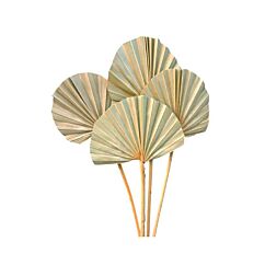 Torkade palmblad 50cm, naturfärg, 10-pack