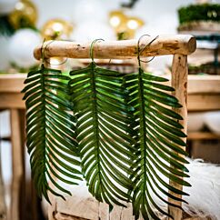 Tekokasvi palmunlehti.