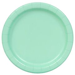 Papptallrikar - Mint, 22cm, 16-pack