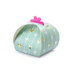 Kaktus lahjarasiat, 10 kpl.