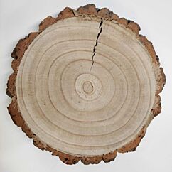 Puinen alusta, 26 x 4 cm.