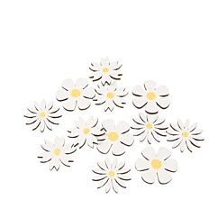 Träkonfetti - Prästkrage, Vit, 12-pack