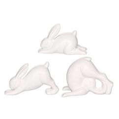 Yogakaniner, vita, 3-pack