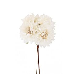 Silkkiset valkoiset pionit. Kukkakimpussa on 6 kukkaa.