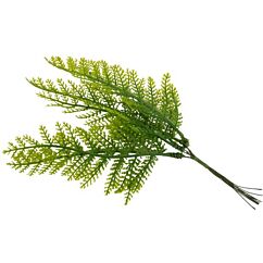 Knippe med ormbunksblad, 6-pack