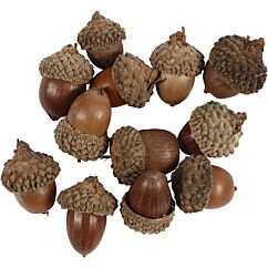 Aidot tammenterhot, 12 kpl.