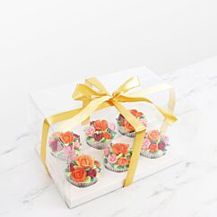 Transparent tårtlåda för 6 muffinsar
