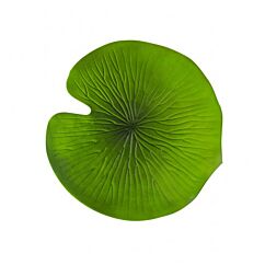 Iso lumpeenlehti, 38,5 cm. Vesililja lehti, pöytätabletti.