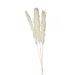 Luonnonväriset koristeheinät, 65-75 cm, 6 kpl.